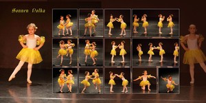 DAS Studio Frankfurt: Tanz,
                                      Kinderballett Pre-Ballett
                                      Gymnastik Klassisches Ballett
                                      Kindertanz Kinderballett uvm.